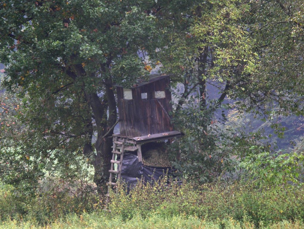 w_posed Vám musí zůstat za levým ramenem.JPG