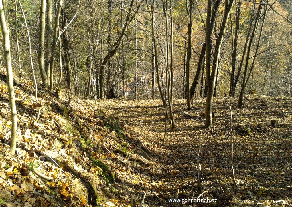 d3 2015-11-01 10.30.40