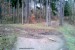 u2 2016-03-08 11.10.04