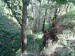 i3 2016-08-06 14.58.51