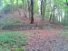 t5a 2016-10-15 11.07.51